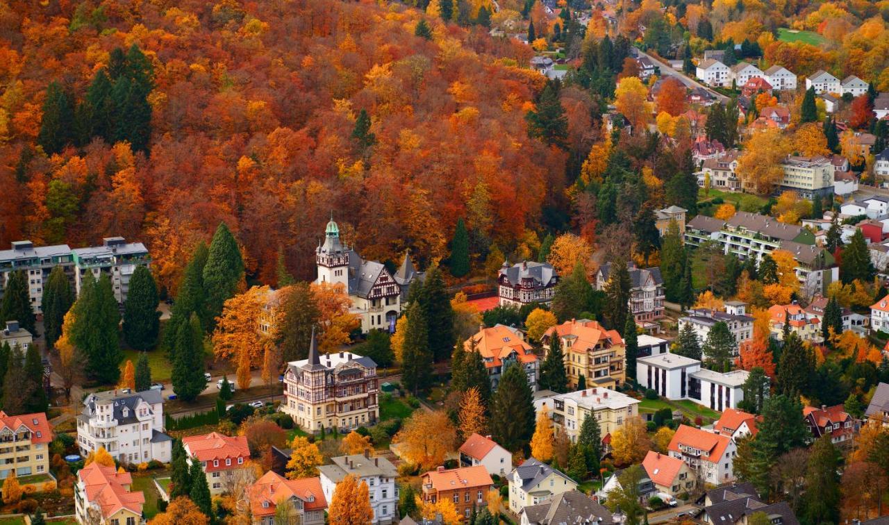 Fewo Harzgipfel Mit Dampfdusche #Innestadtnaehe#Netflix Von Harztraveler Бад-Гарцбург Экстерьер фото