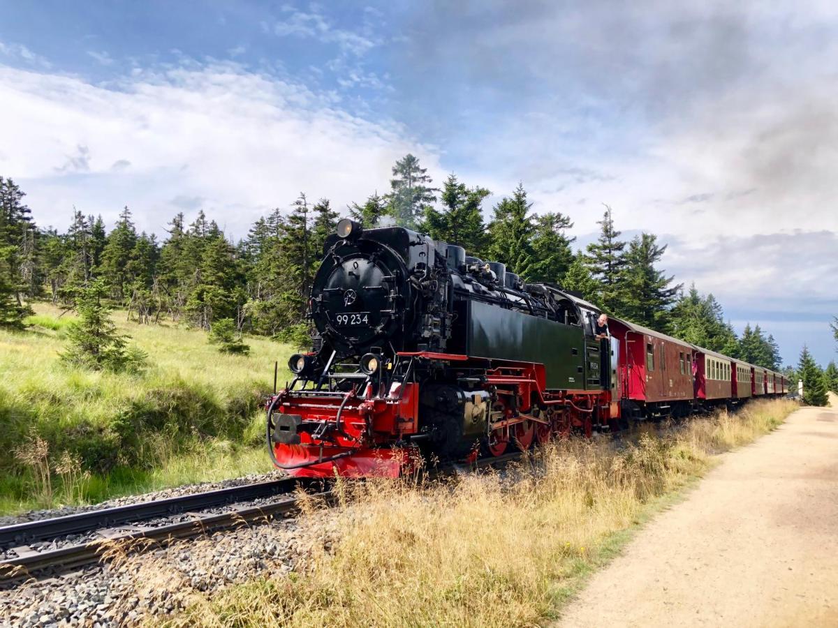 Fewo Harzgipfel Mit Dampfdusche #Innestadtnaehe#Netflix Von Harztraveler Бад-Гарцбург Экстерьер фото