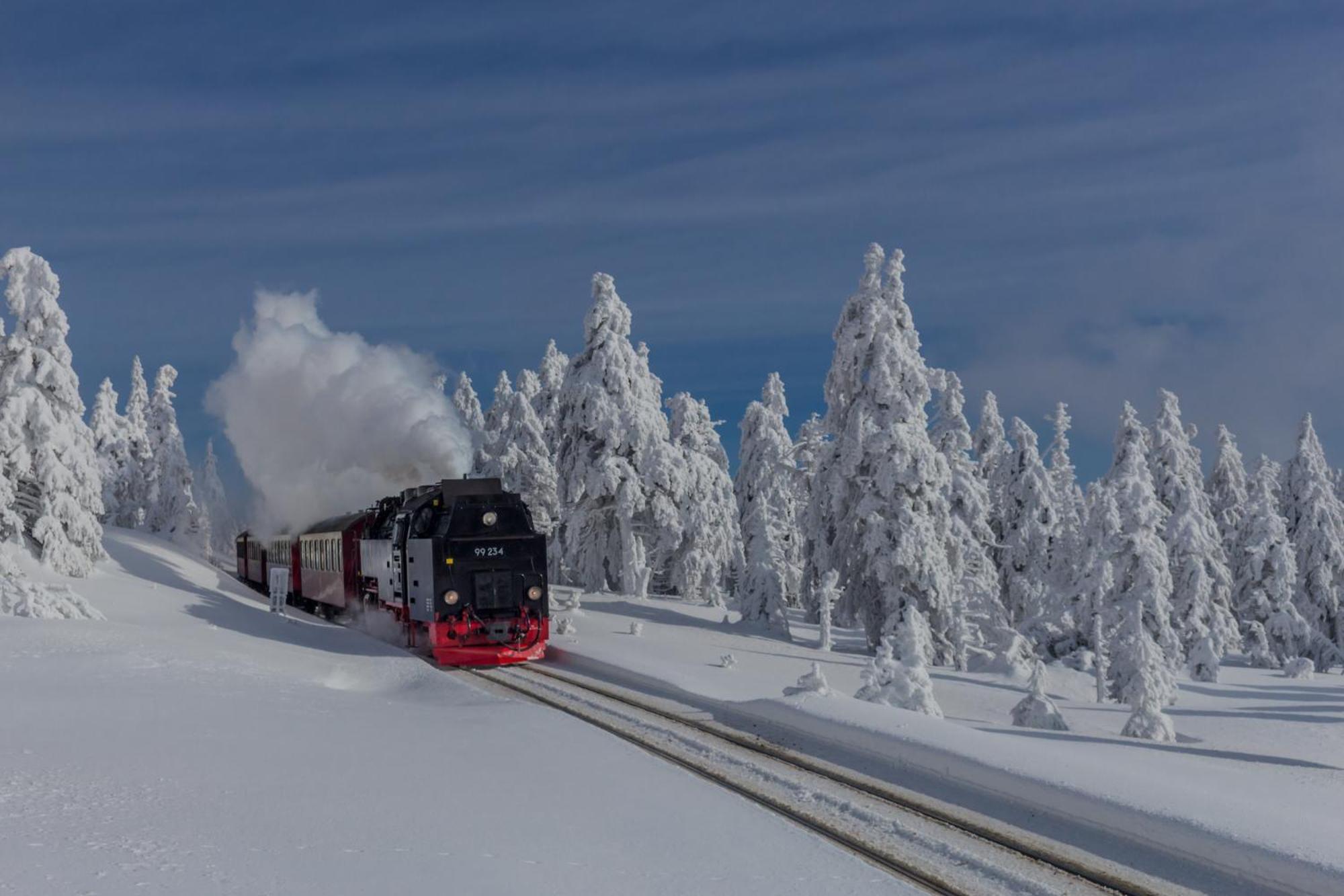 Fewo Harzgipfel Mit Dampfdusche #Innestadtnaehe#Netflix Von Harztraveler Бад-Гарцбург Экстерьер фото